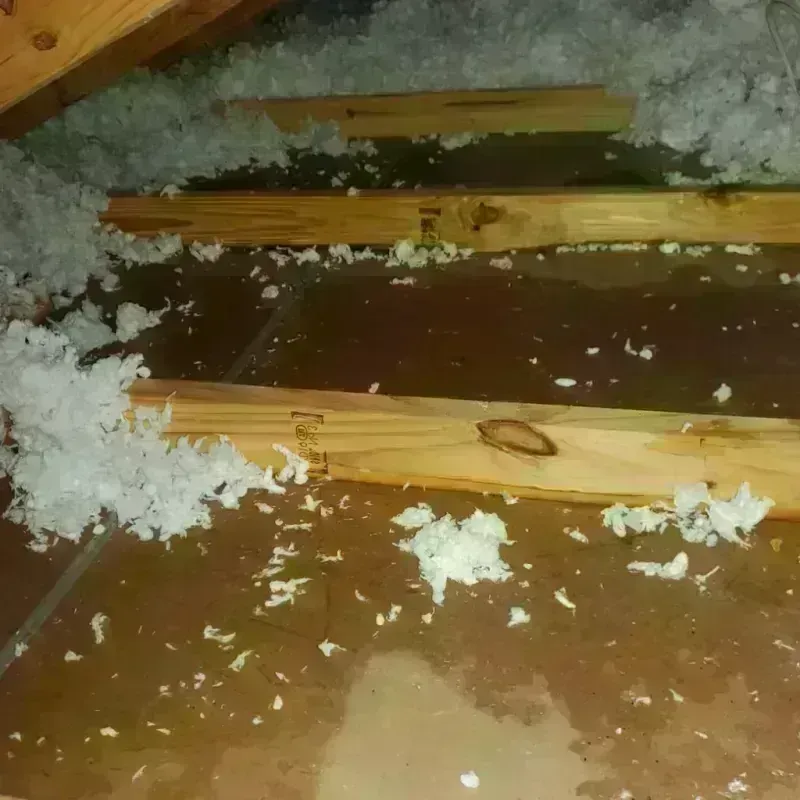 Attic Water Damage in Joseph City, AZ