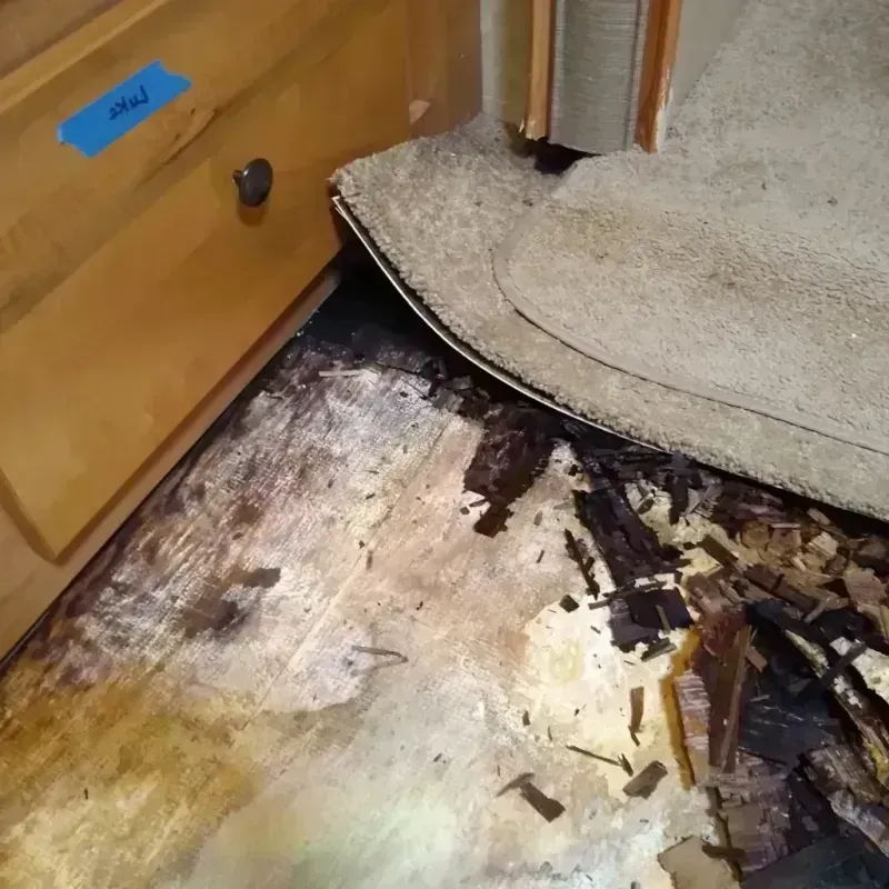 Wood Floor Water Damage in Joseph City, AZ